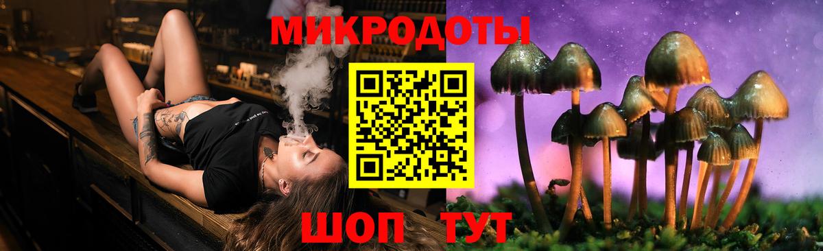 Галлюциногенные грибы Psilocybe Зеленокумск