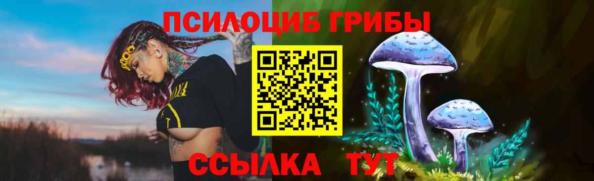 Галлюциногенные грибы MAGIC MUSHROOMS  Галлюциногенные грибы ЛСД  Зеленокумск  Вход с VPN 